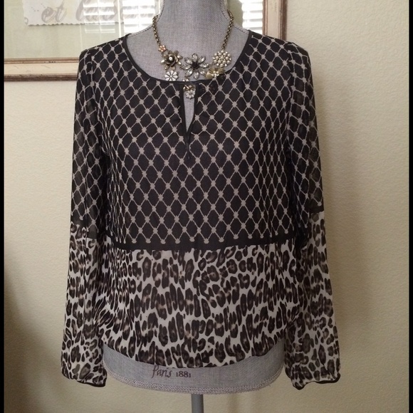 chico Tops - COPY - New - Blk label line from Chico boutique